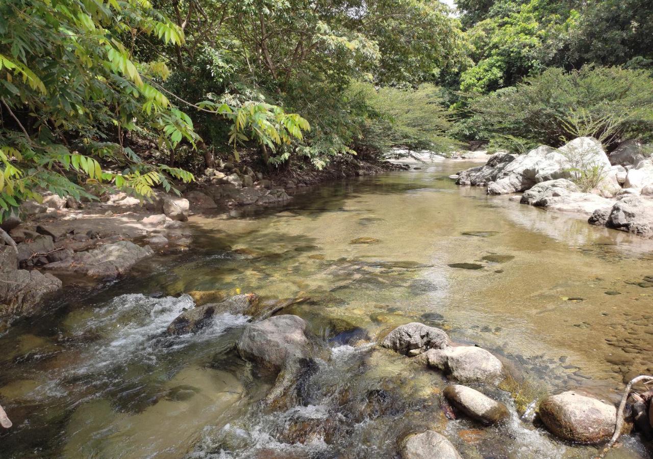 Hotel Manakin Tayrona Эль-Саино Экстерьер фото