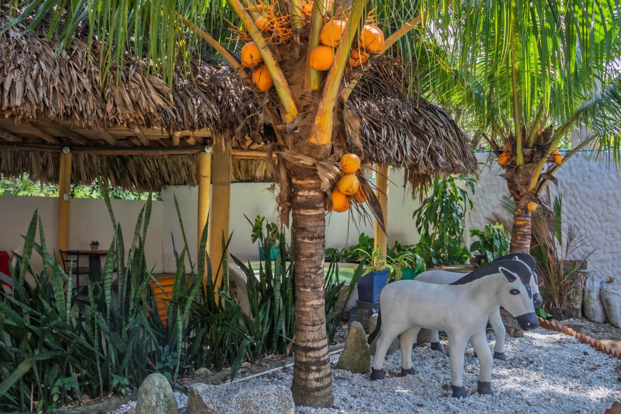 Hotel Manakin Tayrona Эль-Саино Экстерьер фото
